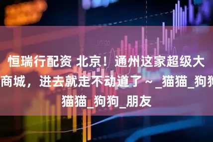 恒瑞行配资 北京！通州这家超级大的宠物商城，进去就走不动道了～_猫猫_狗狗_朋友